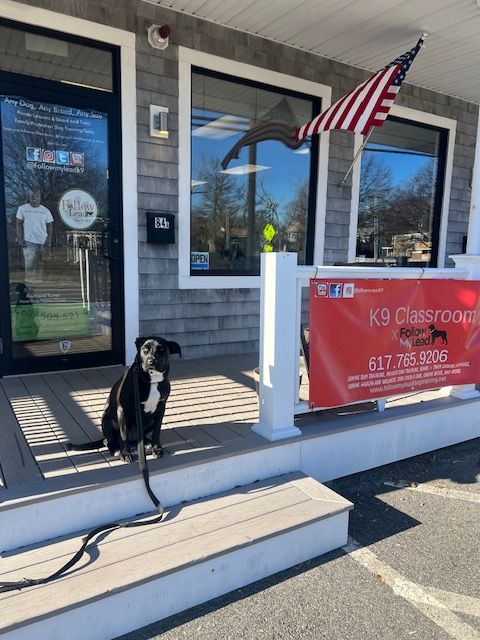 Black dog on a porch outside a K9 classroom sign with an American flag hanging above.