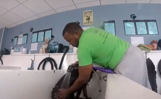 Dog Owner With His Dog Taking a Bath