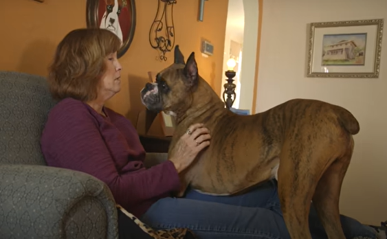 Woman With Her Dog