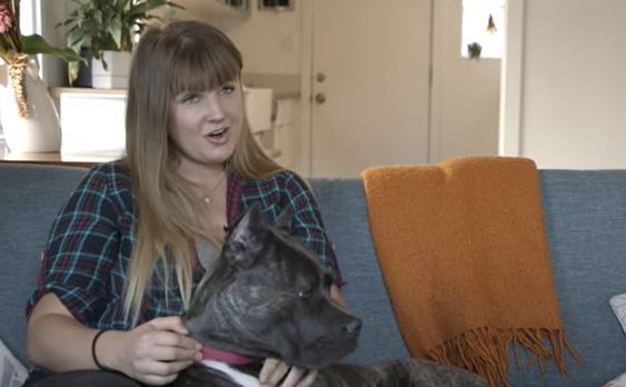 Woman With Her Cane Corso