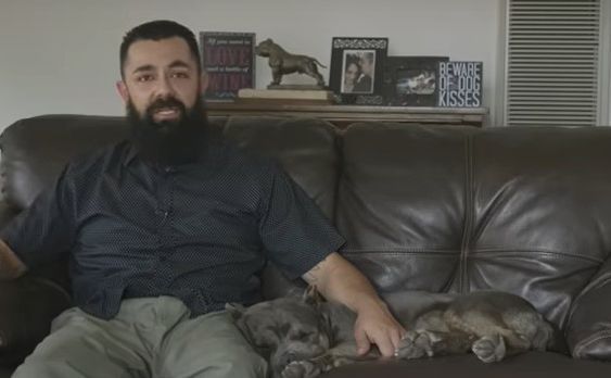 Dog Owner With His American Bully