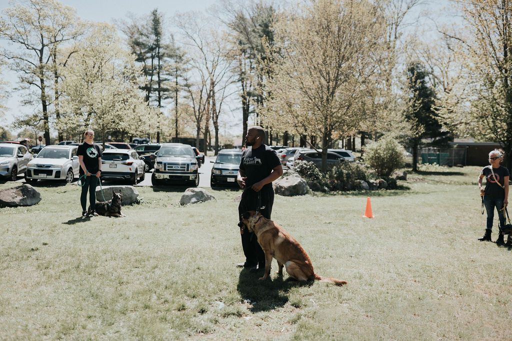 Raymond Turner Explaining on How to Train your Dog