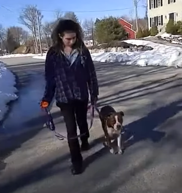 Charlotte and Her Owner Before And After Board & Train