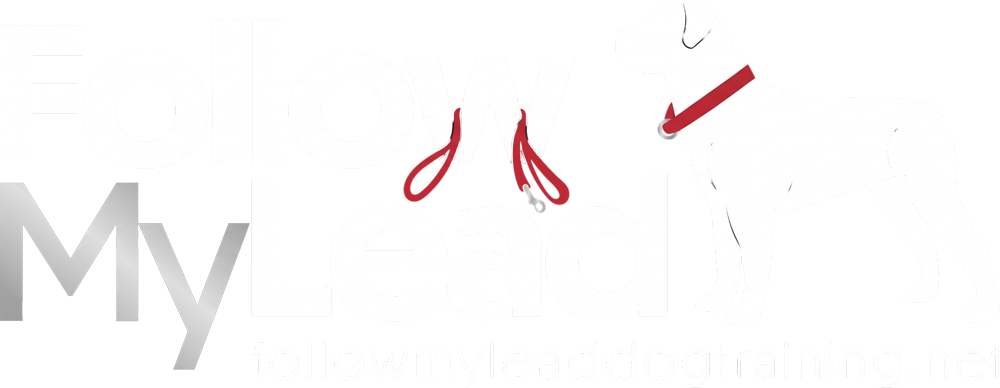 Follow My Lead Dog Training Follow My Lead Dog Training
