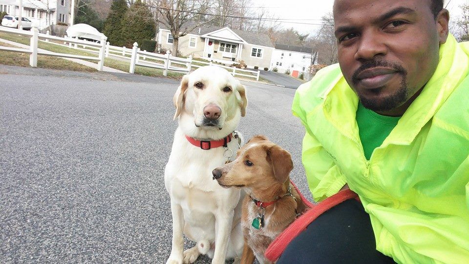 Man in a neon jacket posing with two dogs on a suburban street