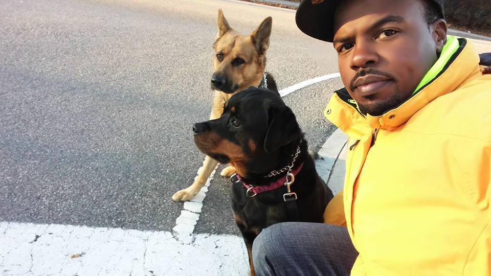Man in a yellow hoodie sitting with two dogs on a street curb, one black and one tan.