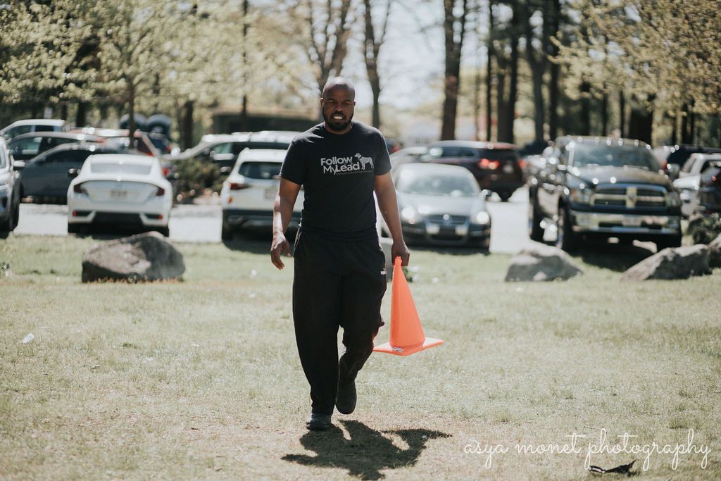 Man in black walking on grass between parked cars, holding an orange cone in a sunny lot