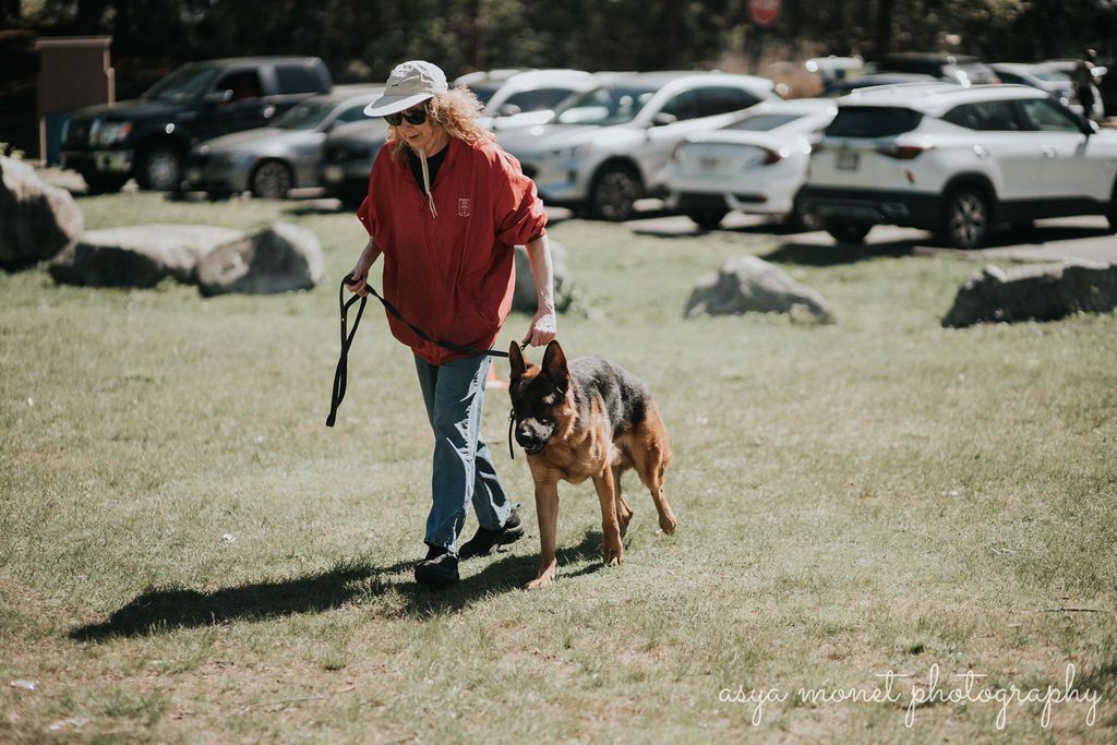 Person in a red jacket walking a dog on a grassy field with parked cars in the background