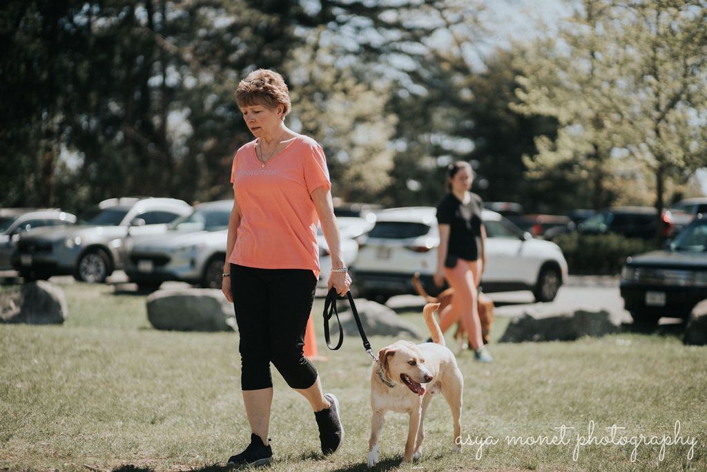 Woman walking a dog on grass in a park, with parked cars and trees in the background