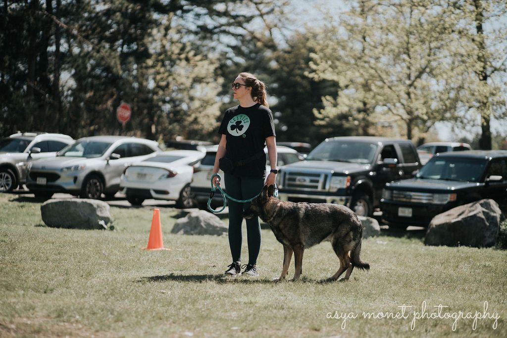 Person with a dog standing on grass near parked cars and an orange cone outdoors
