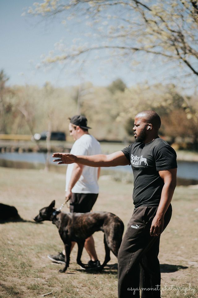 Two people walking dogs beside a lake on a sunny day, one pointing ahead.