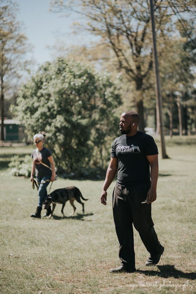 Two people walking dogs in a sunny park, one man in a black T-shirt in the foreground.