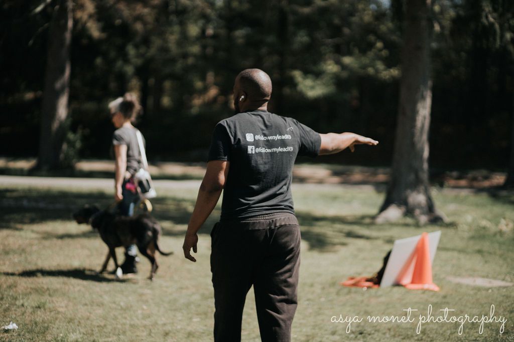 Two people with a black dog in a park, one pointing toward an orange cone on the grass.