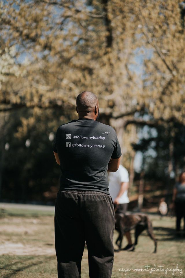 Person in black shirt and pants standing in a park, with trees and a blurred dog in the background.