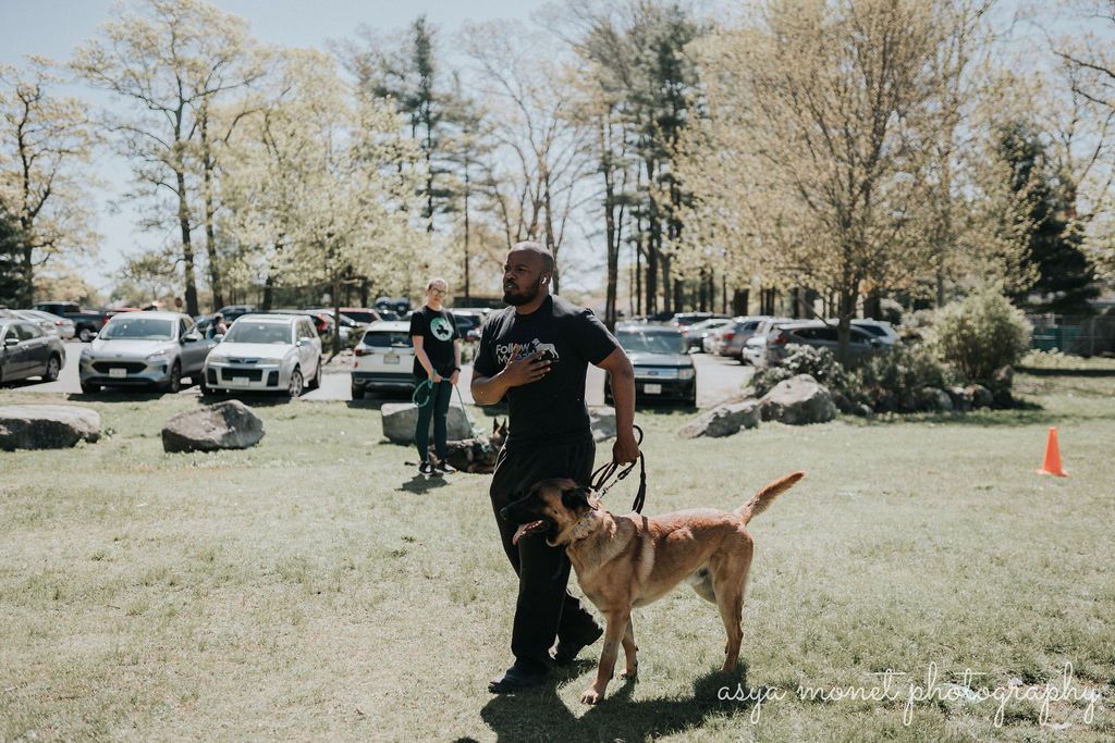Person walking a dog on a grassy field with parked cars and trees in the background