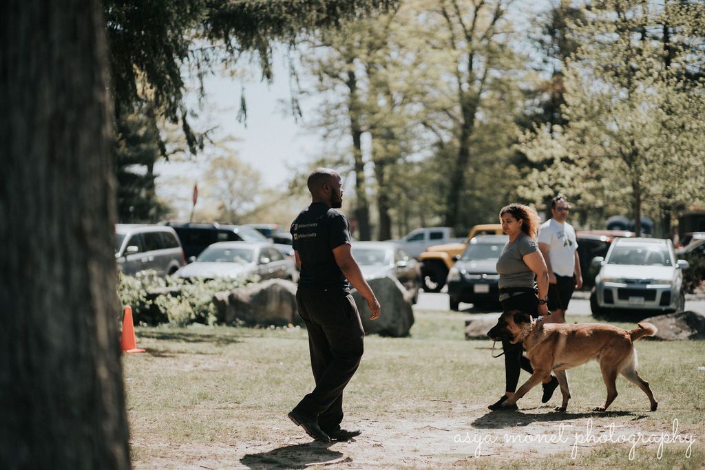 People and a police dog on a leash in a park, with cars and trees in the background