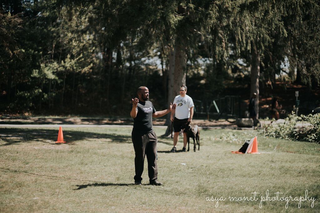 Trainer working with a dog in a grassy park, with orange cones and trees in the background.