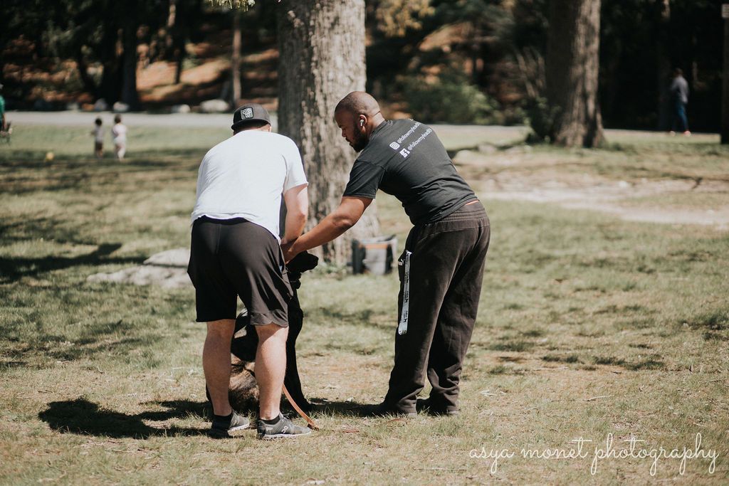 Two golfers lean over a putt on a grassy course, with trees and other players in the background.