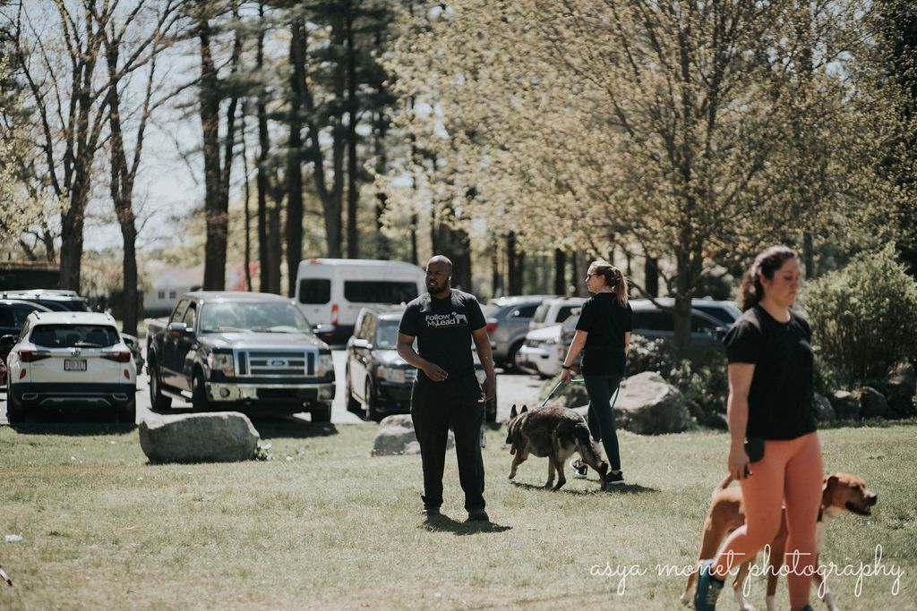 People standing and walking near parked vehicles in a grassy park or field with trees in the background