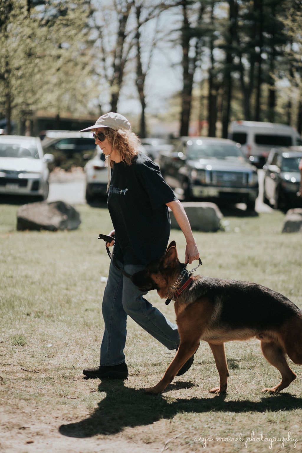 Person walking a German shepherd on a grassy park field with cars and trees in the background