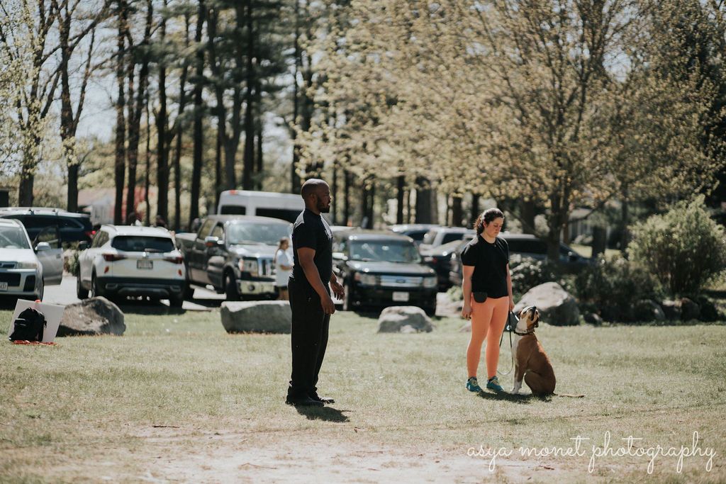 Two people standing on a grassy field with a dog, parked vehicles and trees in the background.
