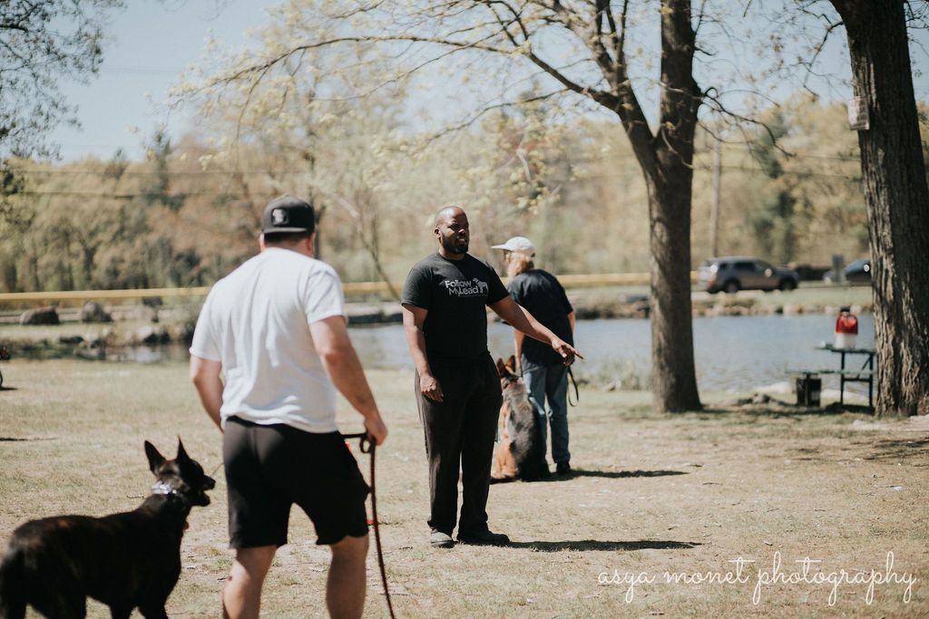 People with dogs standing in a sunny park near a lake and trees
