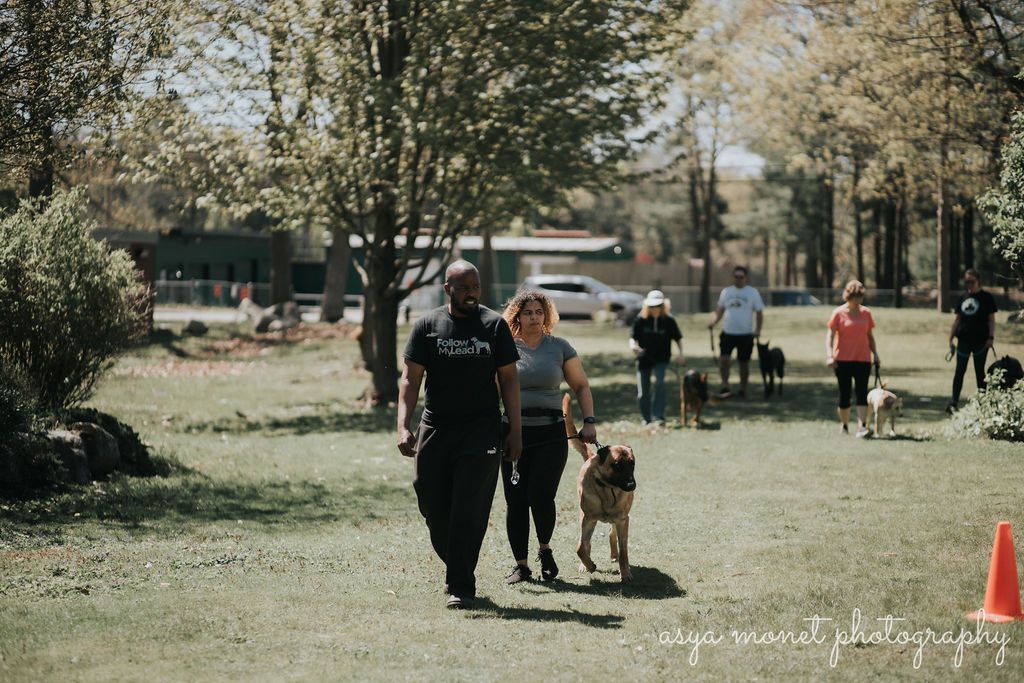 Two people walk a dog on a grassy park path, with others and an orange cone in the background.