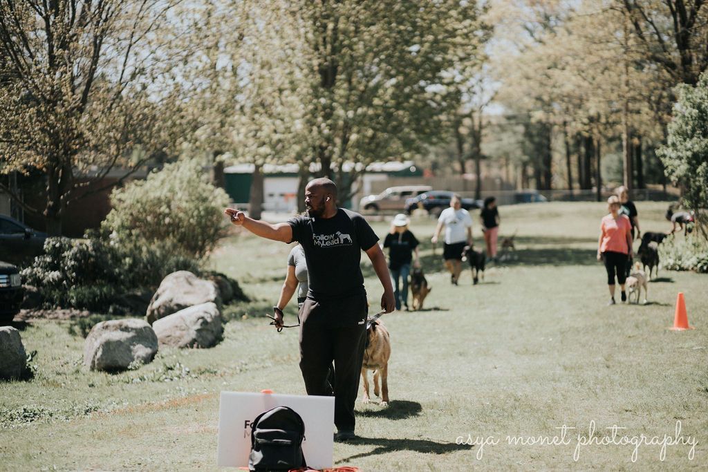 Person in black shirt running through an outdoor obstacle course in a park, with cones, rocks, and other participants.