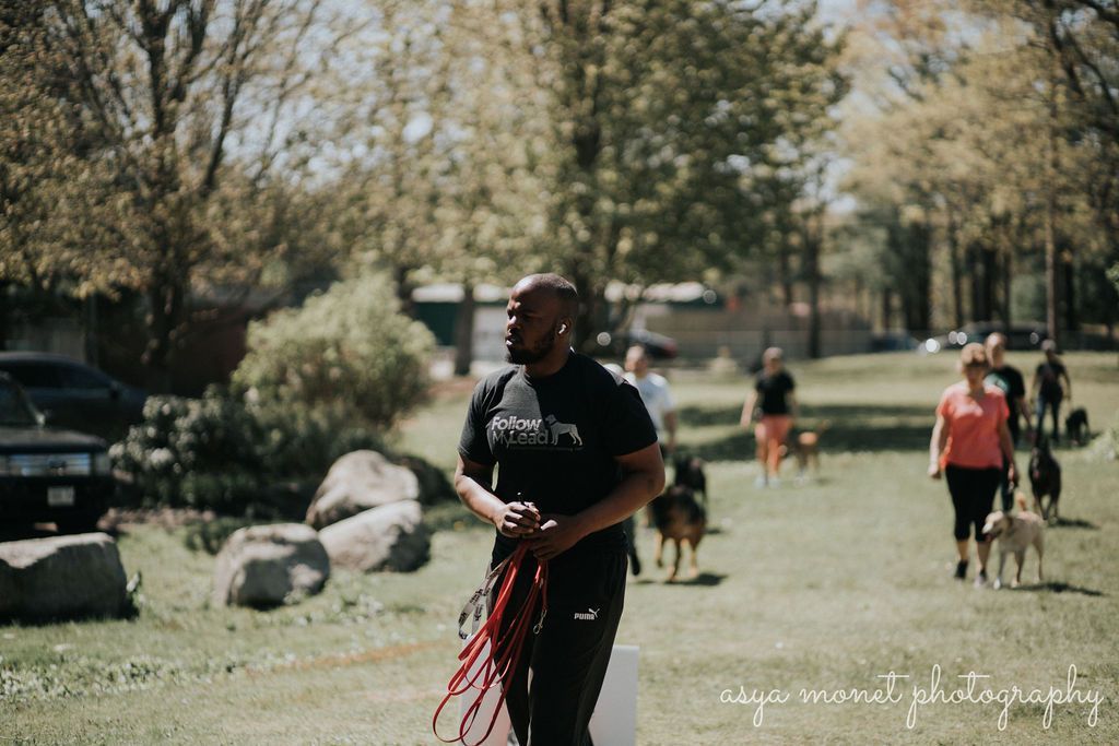 People exercising outdoors in a park, with a man in black carrying red resistance bands in the foreground