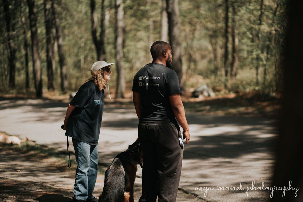 Two people and a dog standing on a sunlit wooded path