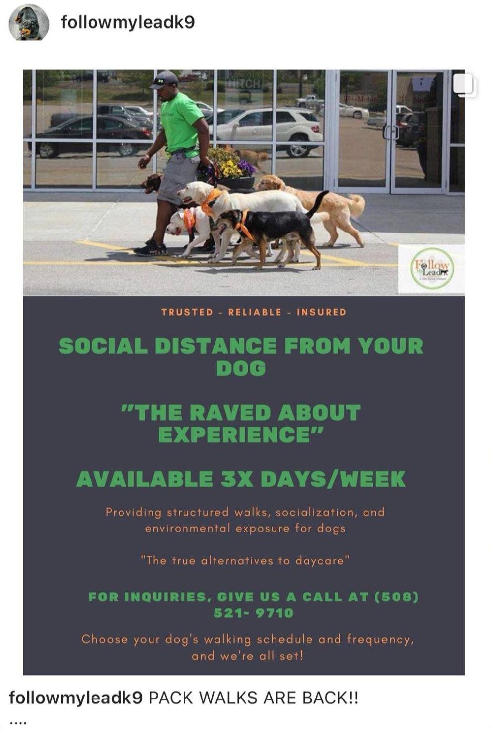 Pack Walks Package Offer 1