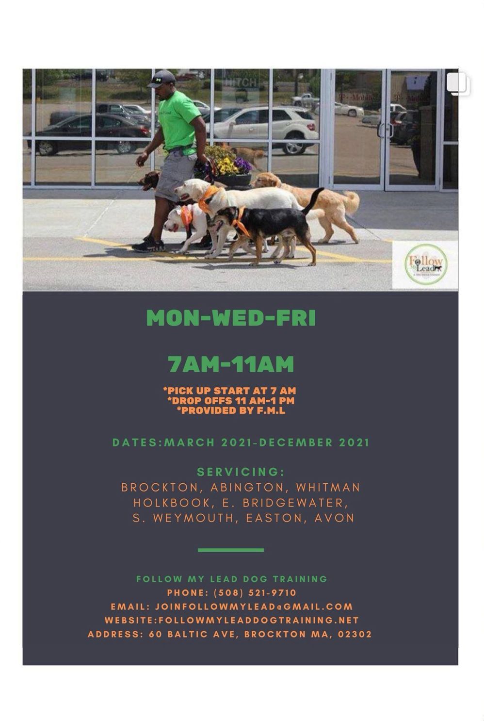 Pack Walks Package Offer 2