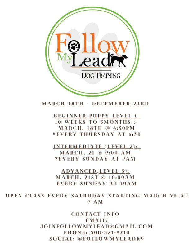 Dog Training Schedule