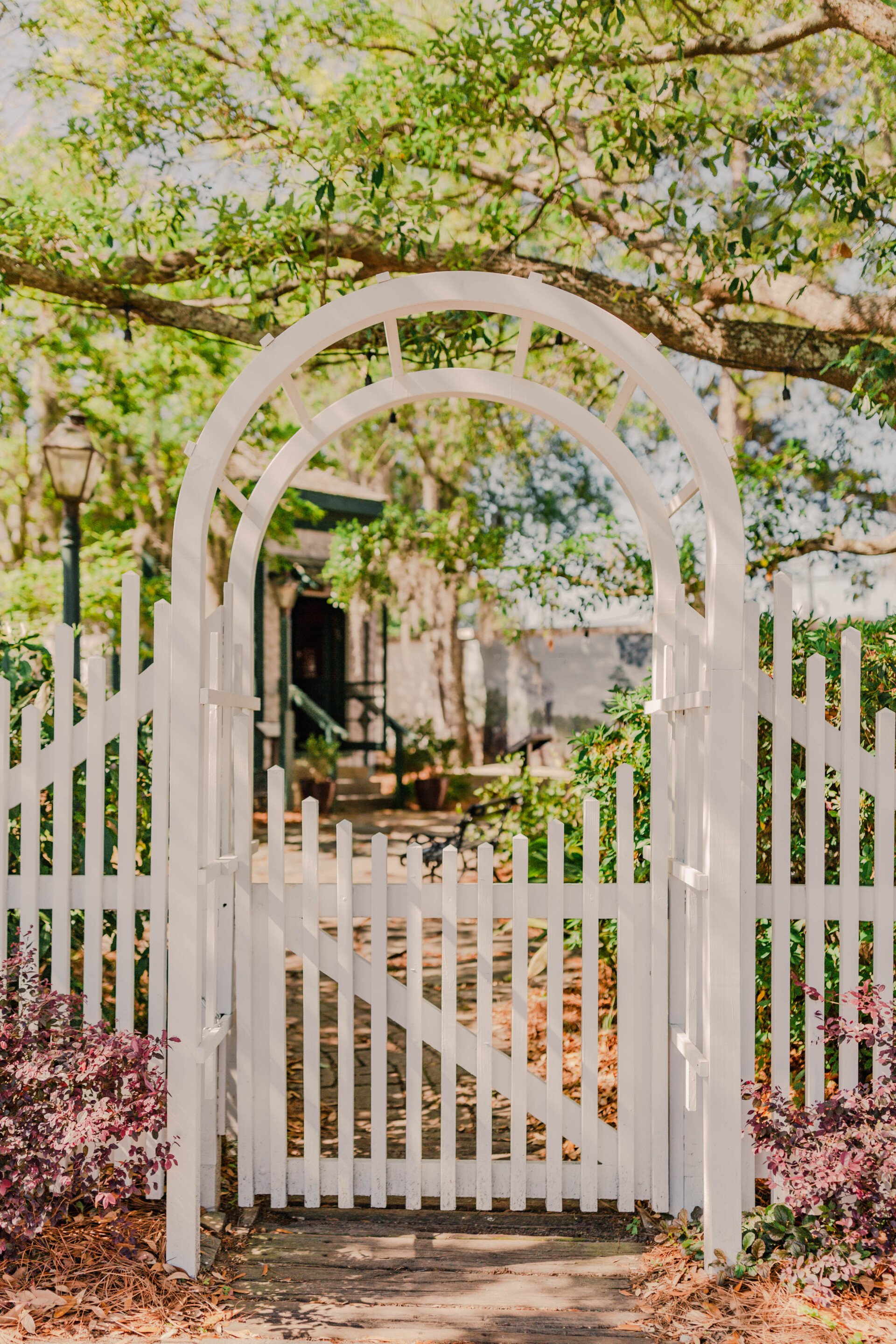 SummervilleFlower Town in the Pines