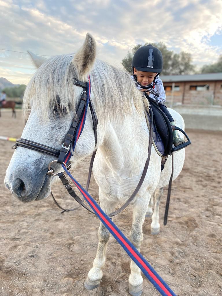 bimbo cavallo