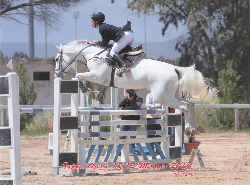 equitazione
