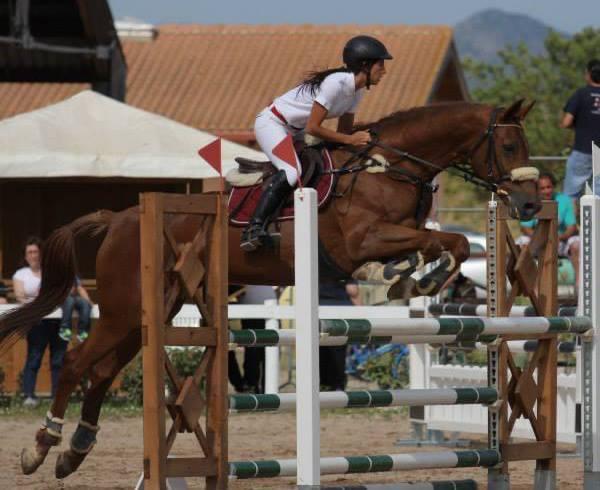 gara di equitazione