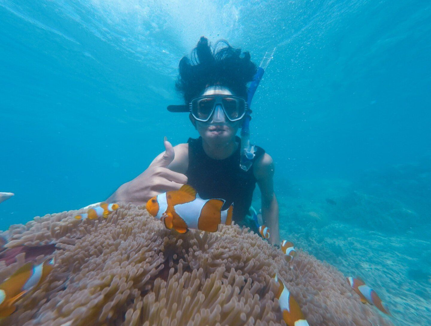 Snorkeler giving a thumbs-up beside orange clownfish over a coral reef underwater