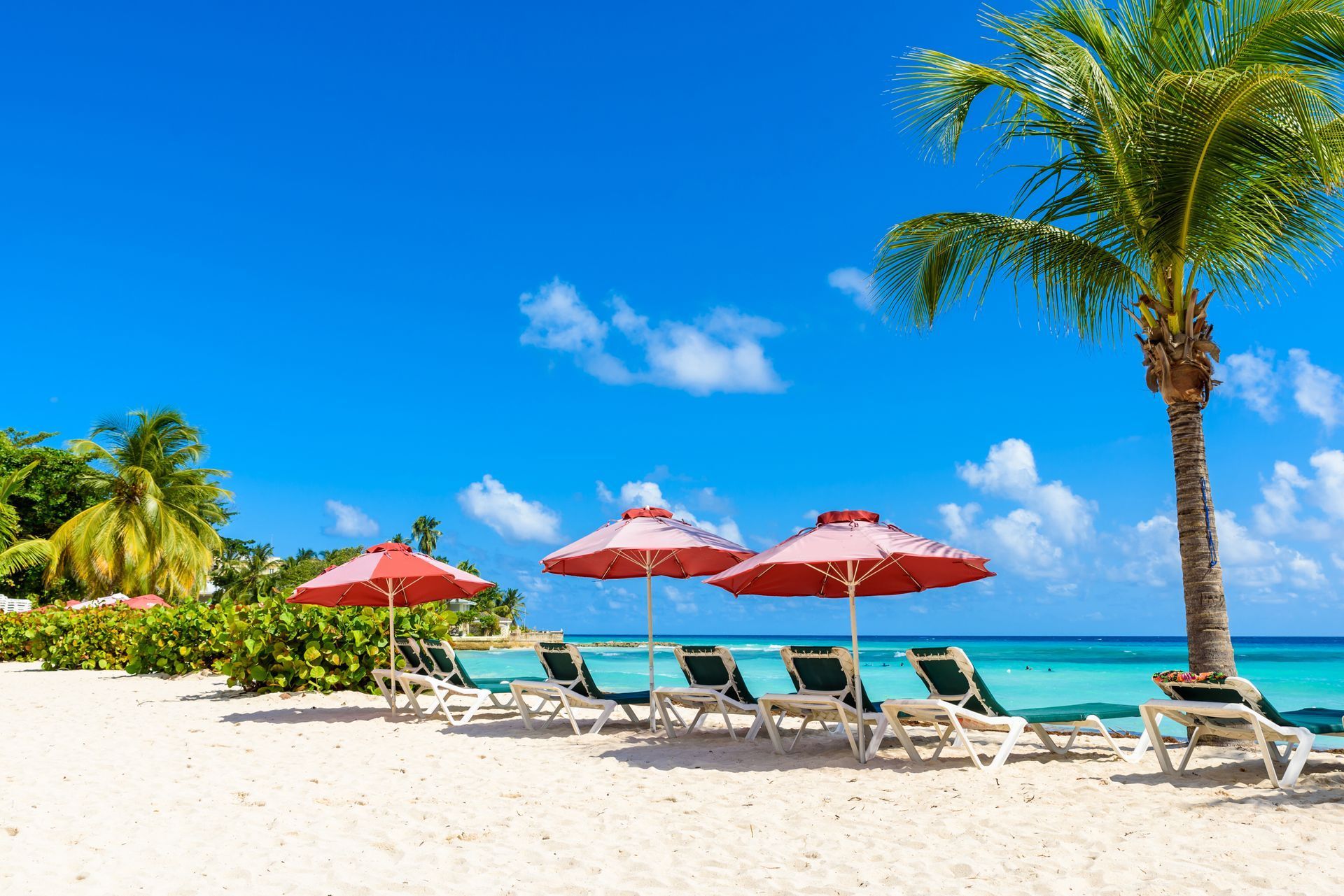 Sunny tropical beach with red umbrellas, lounge chairs, white sand, turquoise water, and palm trees