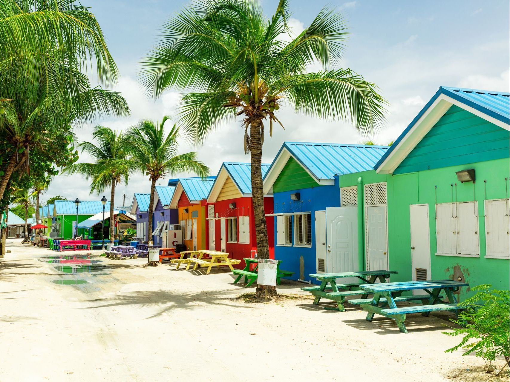 Colorful beach huts lined under palm trees beside a sunny sandy beach