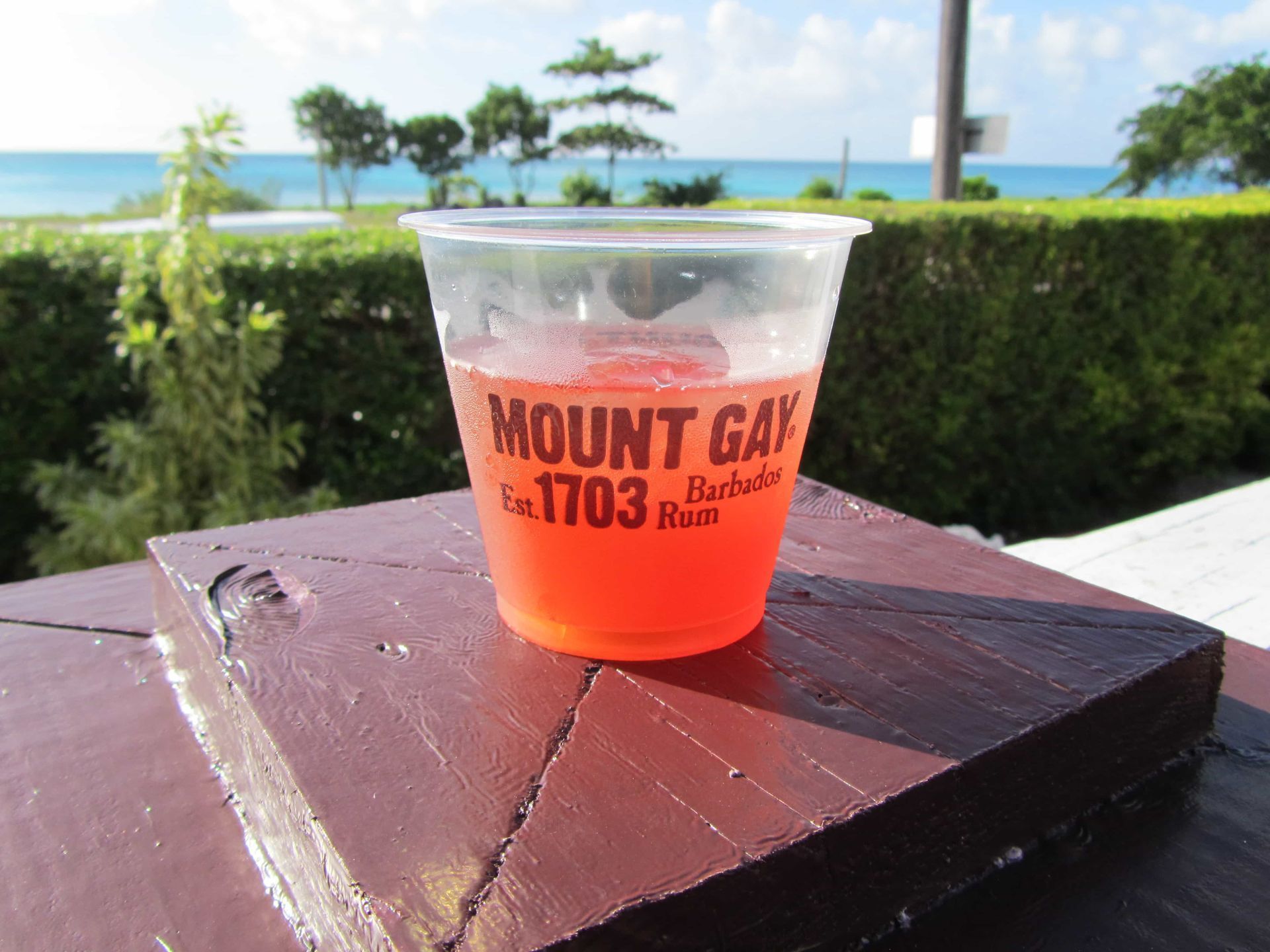 Clear plastic cup with red-orange drink on a wooden table outdoors, labeled “Mount Gay.”