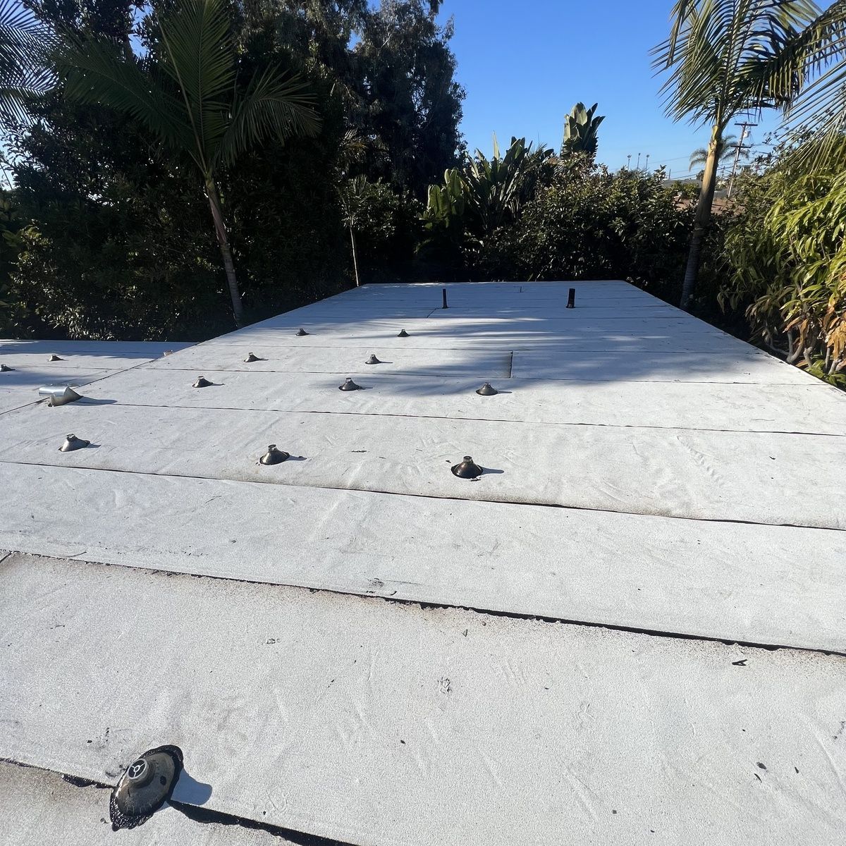 Flat white roof with scattered fasteners, bordered by tall trees under a blue sky.