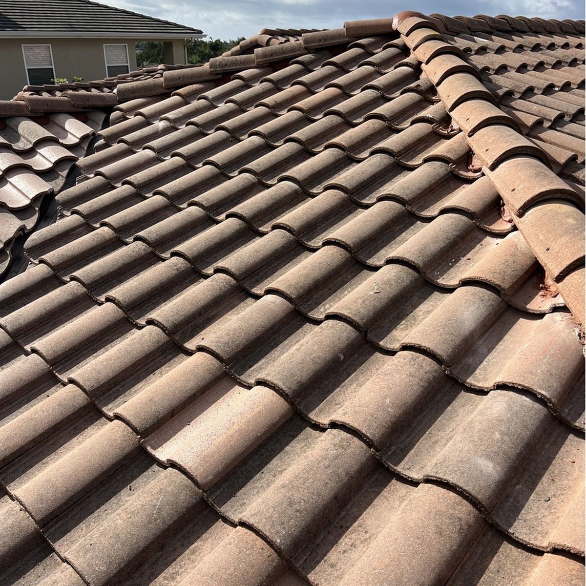 Close-up of a sunlit terracotta tiled roof with neighboring houses in the background