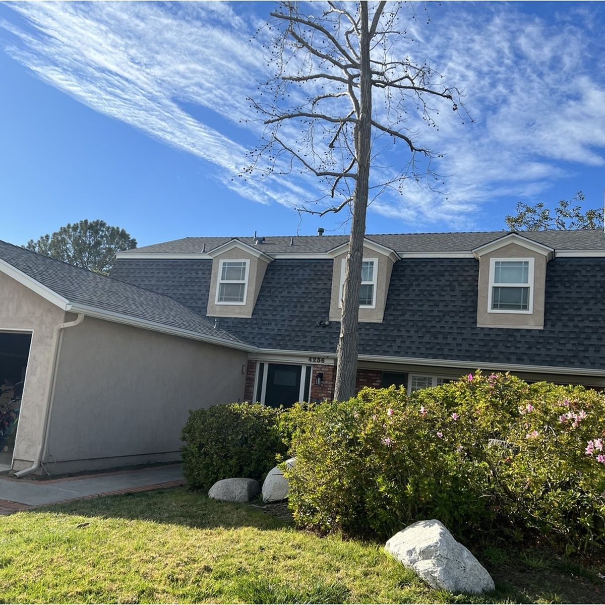 Suburban house with gray roof, front lawn, shrubs, and a tall leafless tree against a blue sky.
