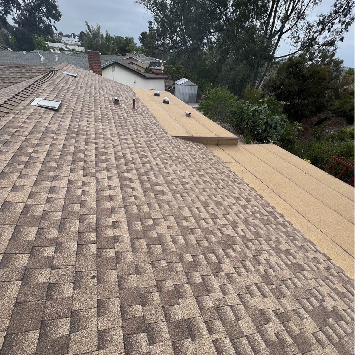 Roof shingles under construction with exposed plywood and a wooded neighborhood background