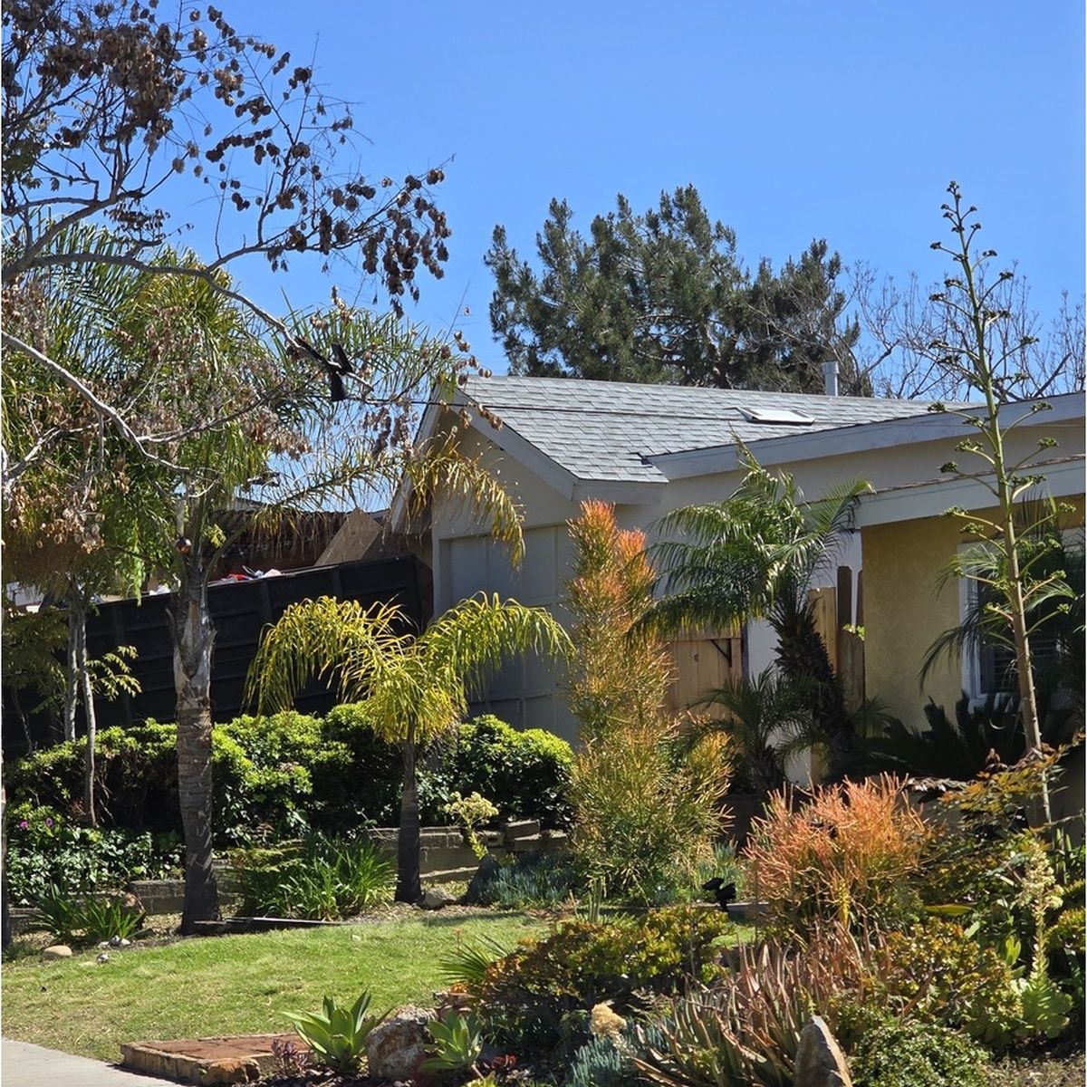 Sunlit suburban house with a landscaped front yard and trees under a clear blue sky