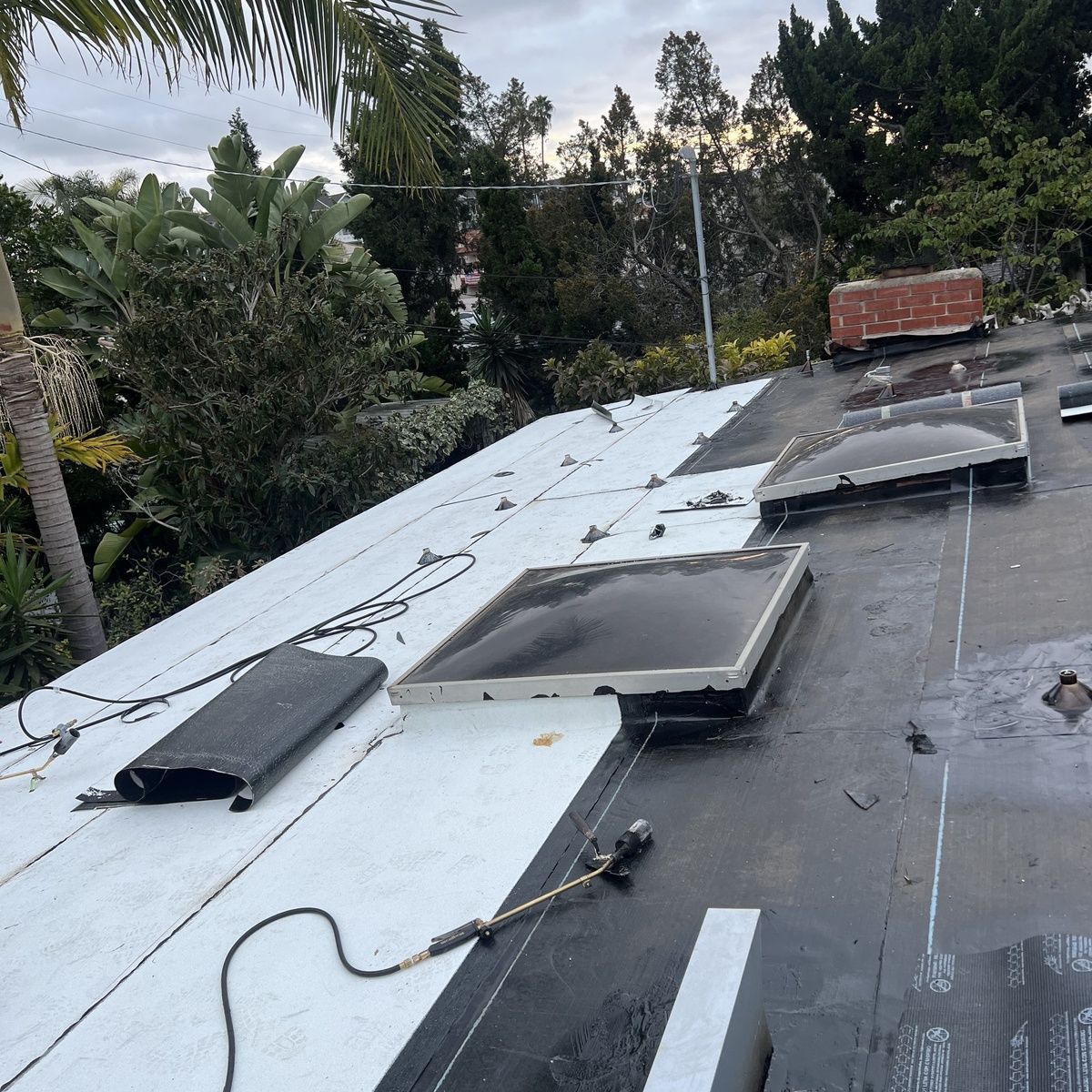 Flat rooftop with white membrane, skylights, cables, and trees in the background.
