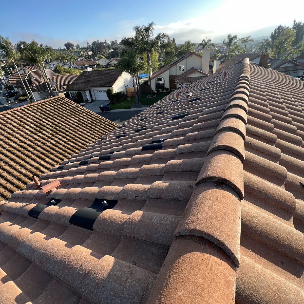 Sunlit terracotta tile rooftops in a suburban neighborhood, viewed from a roof ridge