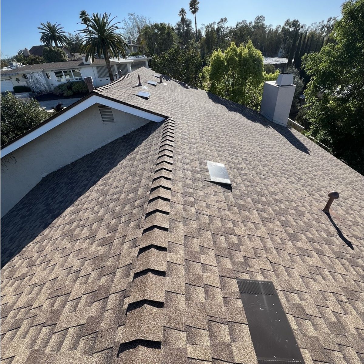 Sunlit shingle roof with roof vents and skylight, viewed from above beside trees and neighboring houses