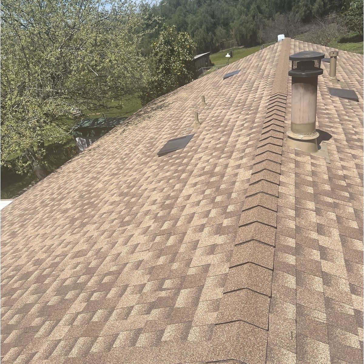 Shingled roof with two vents, viewed from above, with trees beside it.